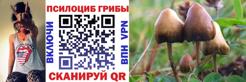гидра сайт  Усолье  Псилоцибиновые грибы Cubensis 